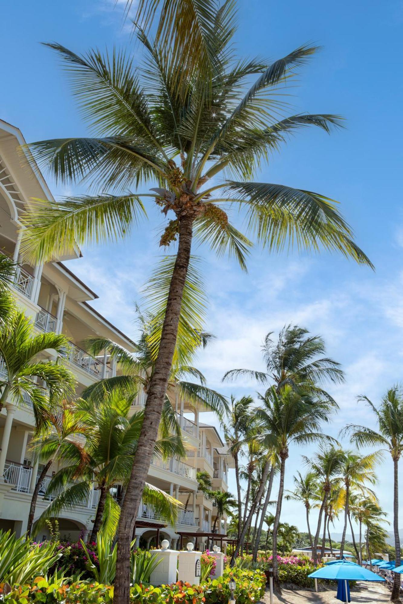 The Landings Resort And Spa - All Suites โกรส อิส์ลีต ภายนอก รูปภาพ